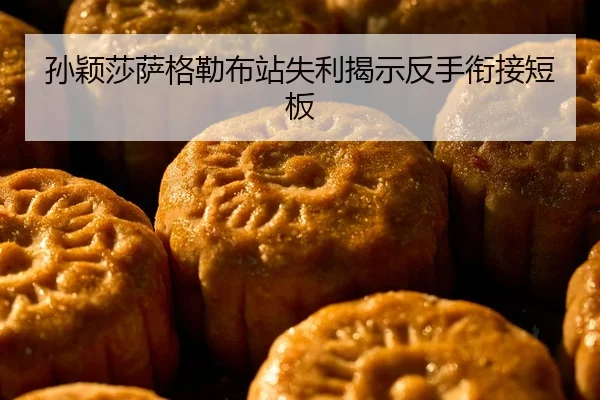 sun-ying-sha-sa-ge-lei-bu-zhan-shi-li-jie-shi-fan-shou-xian-jie-duan-ban-2-972.jpg